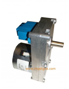 Motoréducteur 1 RPM rot double sens PALAZZETTI 895750520 M